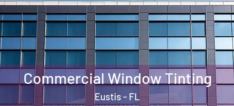  Commercial Window Tinting Eustis - FL