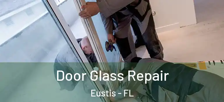  Door Glass Repair Eustis - FL