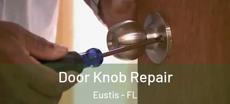  Door Knob Repair Eustis - FL