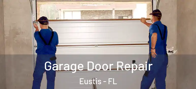  Garage Door Repair Eustis - FL
