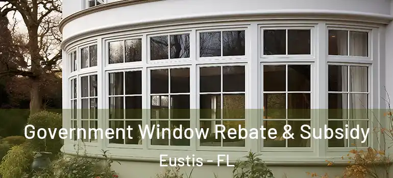  Government Window Rebate & Subsidy Eustis - FL