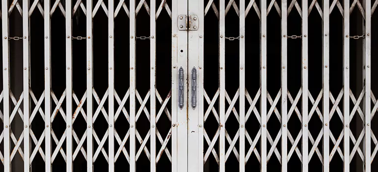 Steel Line Garage Door Repairs in Eustis, FL