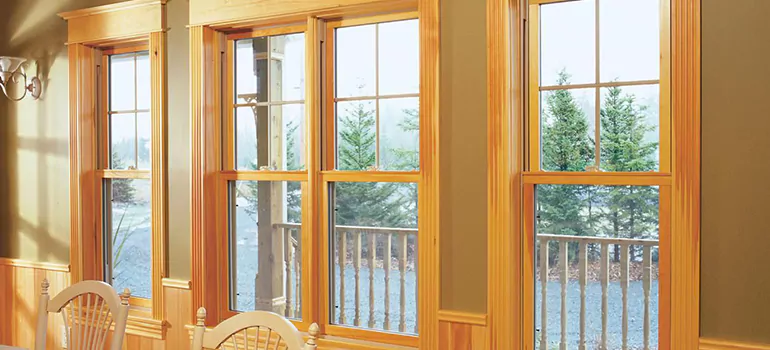 Government Incentives For Replacement Windows in Eustis, FL