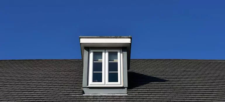 Roof Window Installation in Eustis, FL