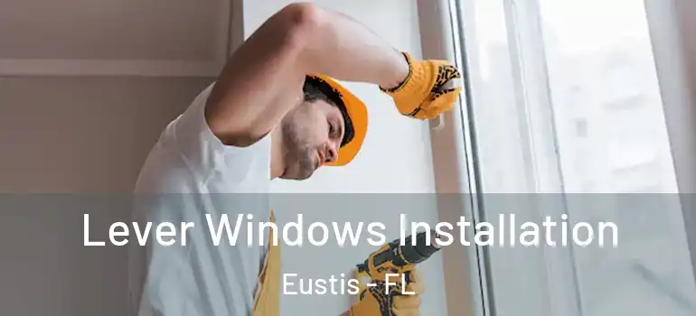  Lever Windows Installation Eustis - FL