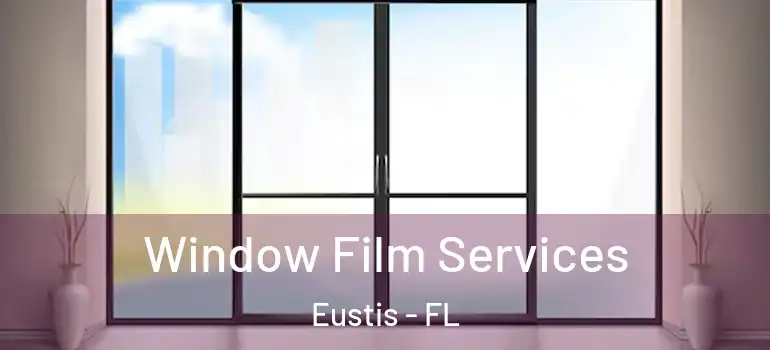  Window Film Services Eustis - FL