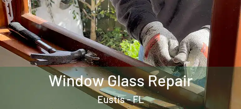  Window Glass Repair Eustis - FL