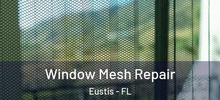  Window Mesh Repair Eustis - FL