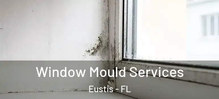  Window Mould Services Eustis - FL