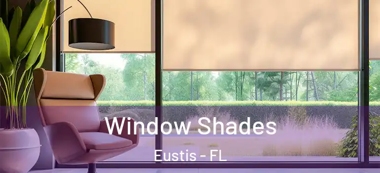  Window Shades Eustis - FL